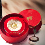 The Executive Collection 4 Star The Executive Collection 4 Star
